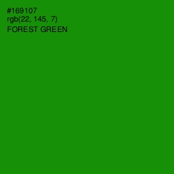 #169107 - Forest Green Color Image