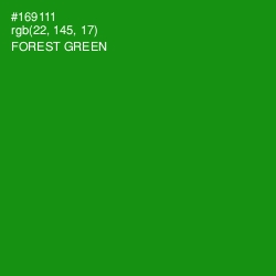 #169111 - Forest Green Color Image