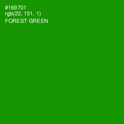 #169701 - Forest Green Color Image