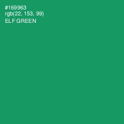 #169963 - Elf Green Color Image