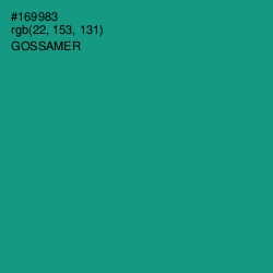 #169983 - Gossamer Color Image