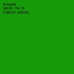 #169A09 - Forest Green Color Image