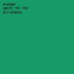 #169B67 - Elf Green Color Image