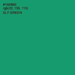 #169B6E - Elf Green Color Image