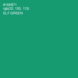 #169B71 - Elf Green Color Image
