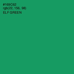 #169C62 - Elf Green Color Image