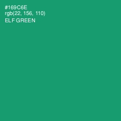 #169C6E - Elf Green Color Image