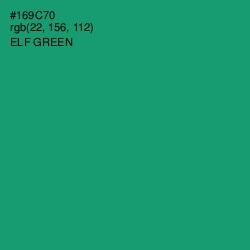 #169C70 - Elf Green Color Image