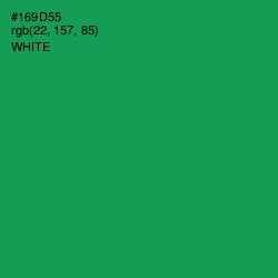 #169D55 - Eucalyptus Color Image