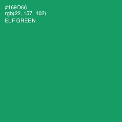 #169D66 - Elf Green Color Image