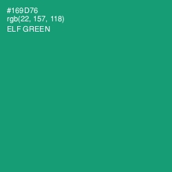 #169D76 - Elf Green Color Image