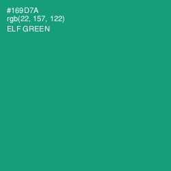 #169D7A - Elf Green Color Image