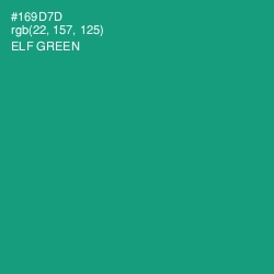 #169D7D - Elf Green Color Image