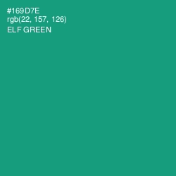 #169D7E - Elf Green Color Image