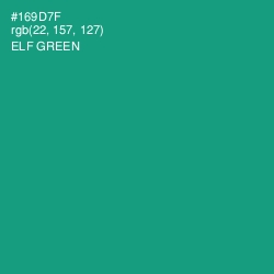 #169D7F - Elf Green Color Image