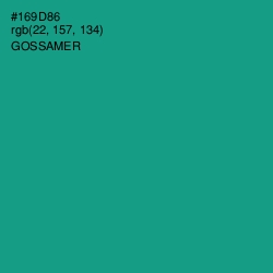 #169D86 - Gossamer Color Image