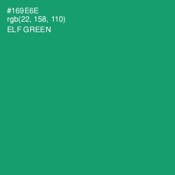 #169E6E - Elf Green Color Image