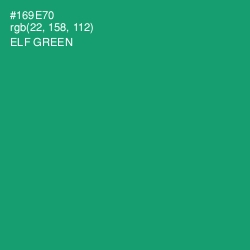 #169E70 - Elf Green Color Image