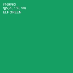 #169F63 - Elf Green Color Image