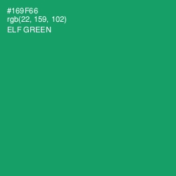 #169F66 - Elf Green Color Image