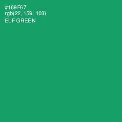 #169F67 - Elf Green Color Image