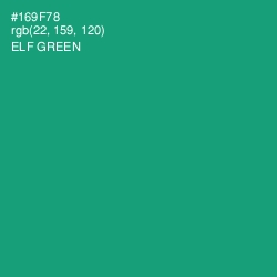 #169F78 - Elf Green Color Image