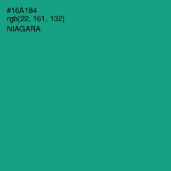 #16A184 - Niagara Color Image