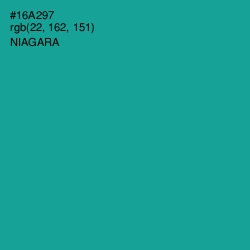 #16A297 - Niagara Color Image