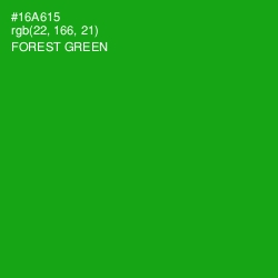 #16A615 - Forest Green Color Image