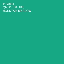 #16A884 - Mountain Meadow Color Image