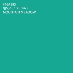 #16A893 - Mountain Meadow Color Image