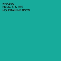 #16AB9A - Mountain Meadow Color Image