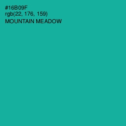 #16B09F - Mountain Meadow Color Image