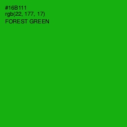 #16B111 - Forest Green Color Image