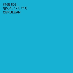 #16B1D3 - Cerulean Color Image