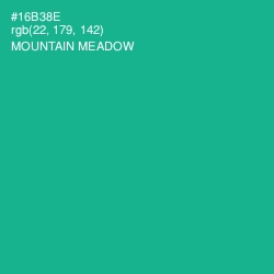 #16B38E - Mountain Meadow Color Image