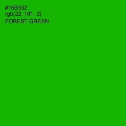 #16B502 - Forest Green Color Image