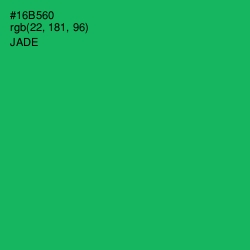 #16B560 - Jade Color Image