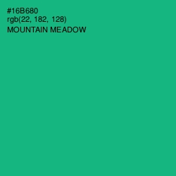#16B680 - Mountain Meadow Color Image