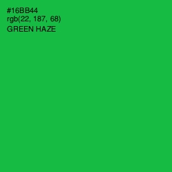 #16BB44 - Green Haze Color Image