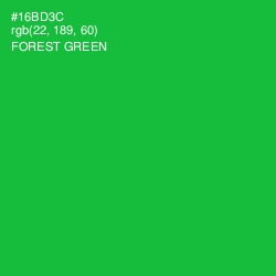 #16BD3C - Forest Green Color Image