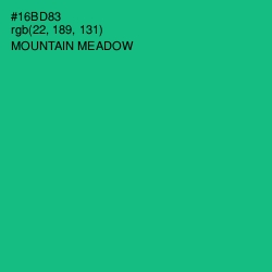 #16BD83 - Mountain Meadow Color Image