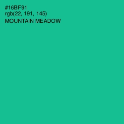#16BF91 - Mountain Meadow Color Image