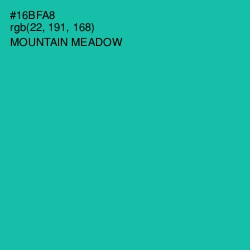 #16BFA8 - Mountain Meadow Color Image