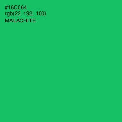 #16C064 - Malachite Color Image