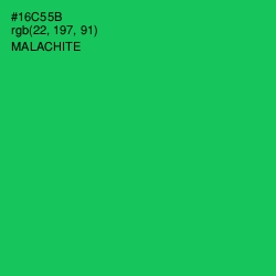 #16C55B - Malachite Color Image