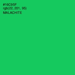 #16C95F - Malachite Color Image