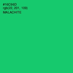 #16C96D - Malachite Color Image