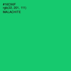 #16C96F - Malachite Color Image