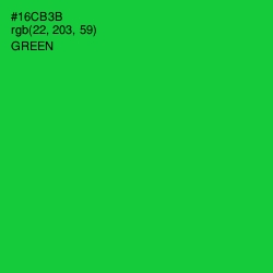 #16CB3B - Green Color Image